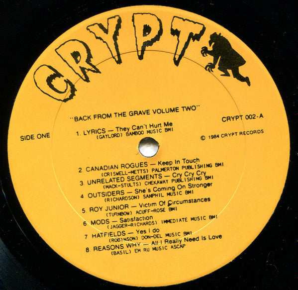 Various - Back From The Grave Volume Two