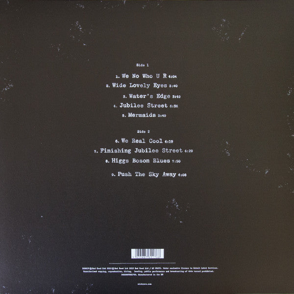 Nick Cave &amp; The Bad Seeds - Push The Sky Away