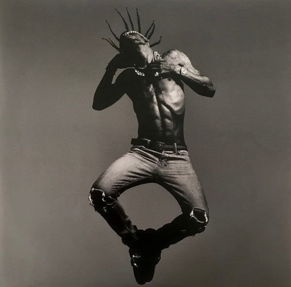 Travis Scott (2) -Birds In The Trap Sing Mcknight