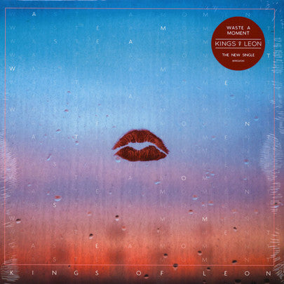 Kings Of Leon -Waste A Moment