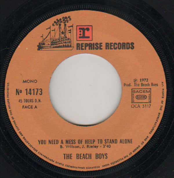 The Beach Boys -You Need A Mess Of Help To Stand Alone