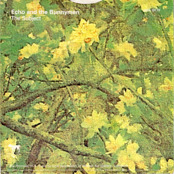 Echo And The Bunnymen* -The Back Of Love