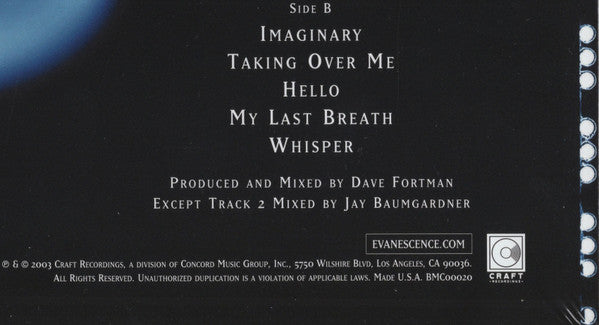 Evanescence -Fallen