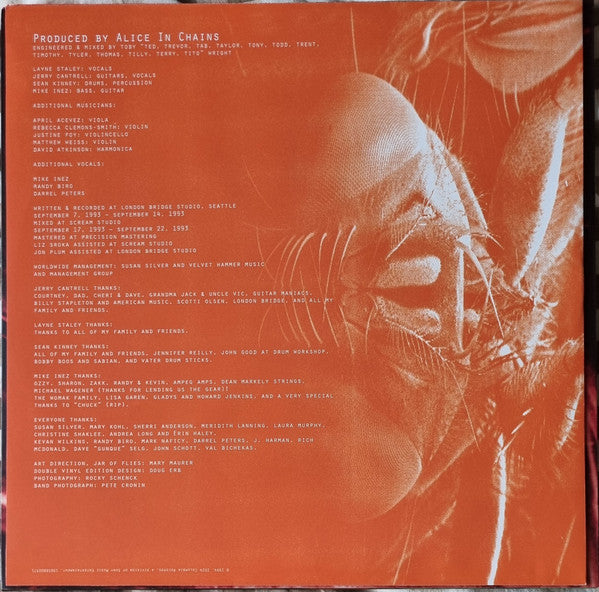 Alice In Chains -Jar Of Flies