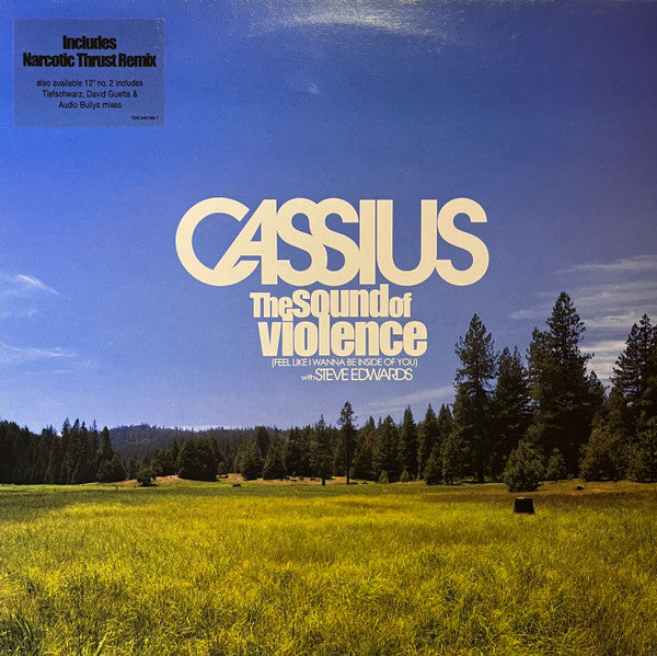 Cassius With Steve Edwards -The Sound Of Violence (Feel Like I Wanna Be Inside Of You)