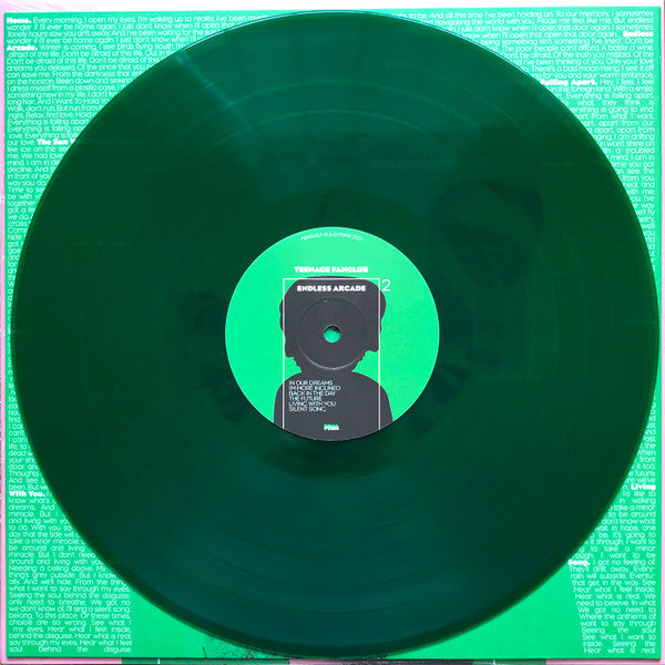 Teenage Fanclub -Endless Arcade