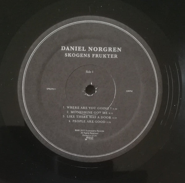 Daniel Norgren -Skogens Frukter