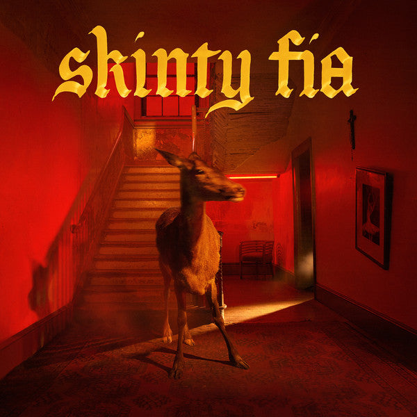 Fontaines D.C. -Skinty Fia