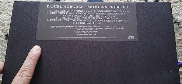 Daniel Norgren -Skogens Frukter