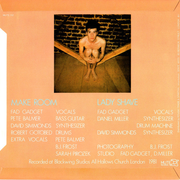 Fad Gadget -Make Room