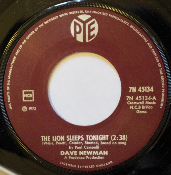 Dave Newman (3) -The Lion Sleeps Tonight