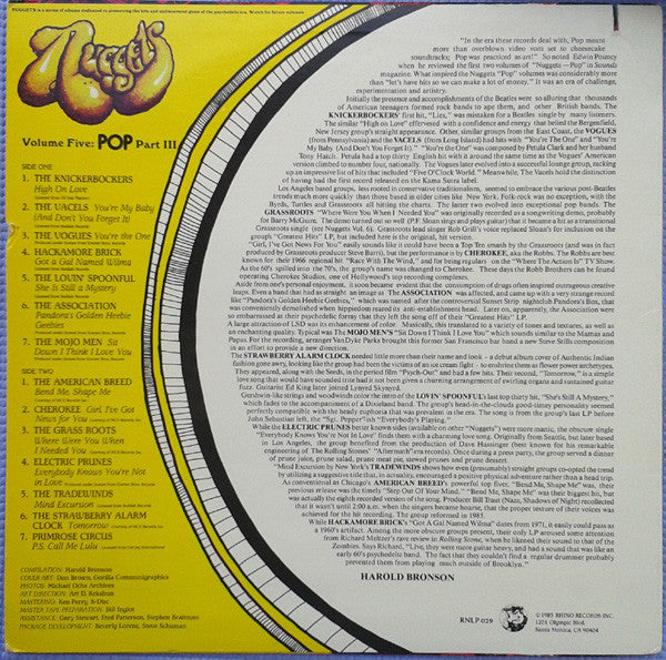 Various - Nuggets Volume Five: Pop, Part III