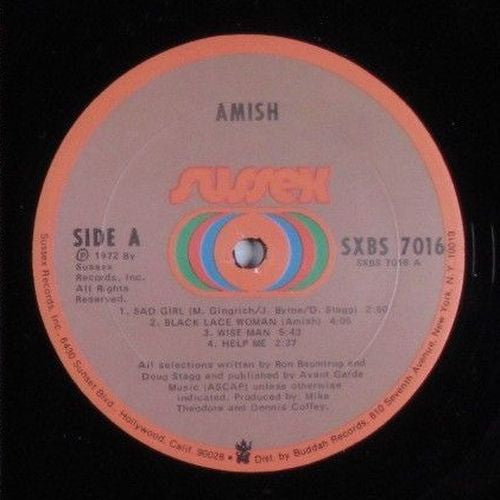 Amish -Amish