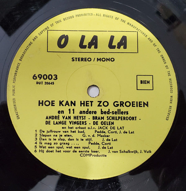 Various - Hoe Kan Het Zo Groeien