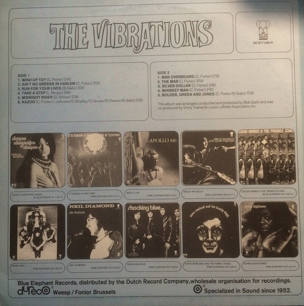 The Vibrations -The Vibrations
