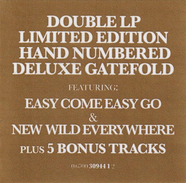 Great Lake Swimmers -New Wild Everywhere