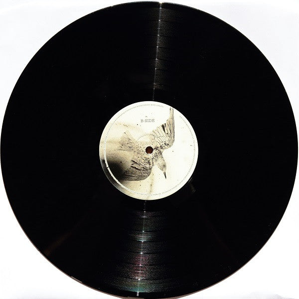 The Coral -Distance Inbetween