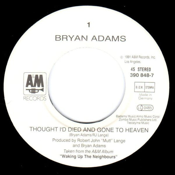 Bryan Adams -Thought I'd Died And Gone To Heaven