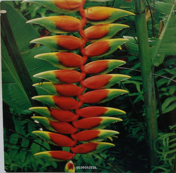 Various - Rock The Planet