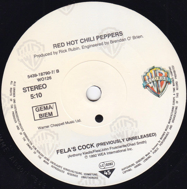 Red Hot Chili Peppers -Breaking The Girl