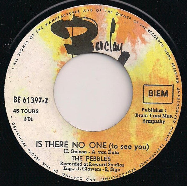 The Pebbles -To The Rising Sun / Is There No One