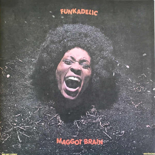 Funkadelic -Maggot Brain