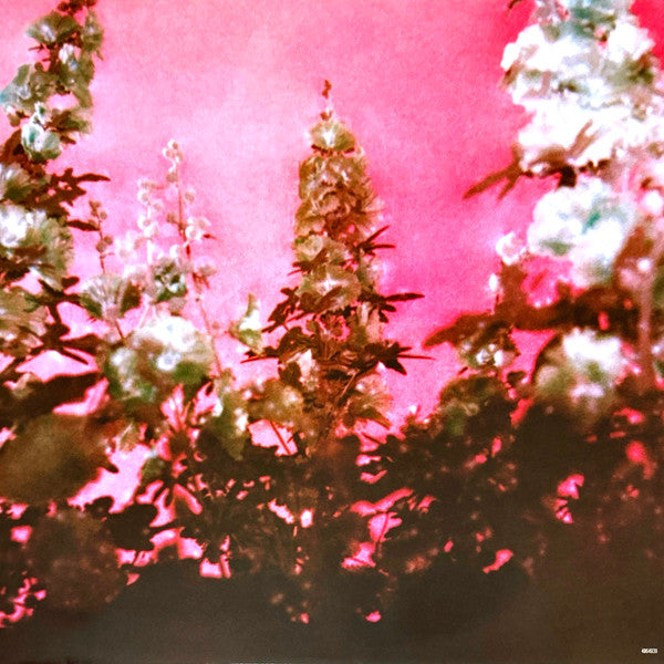 Lana Del Rey -Did You Know That There's A Tunnel Under Ocean Blvd