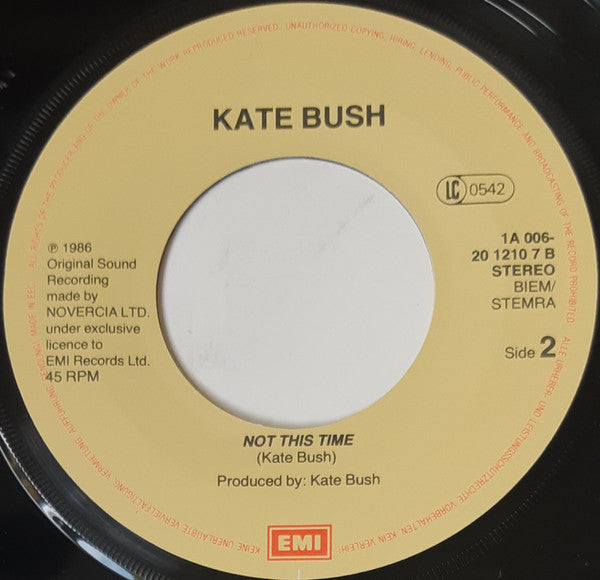 Kate Bush -The Big Sky (Special Single Mix)
