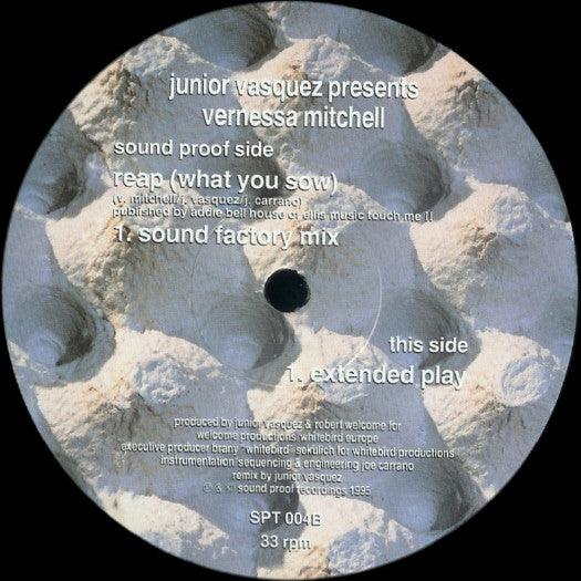 Junior Vasquez Presents Vernessa Mitchell - Reap (What You Sow)